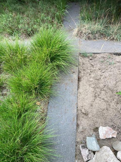 Tuintegels 100x31x6cm, Tuin en Terras, Tegels en Klinkers, Zo goed als nieuw, Terrastegels, Beton, Minder dan 5 m², Ophalen