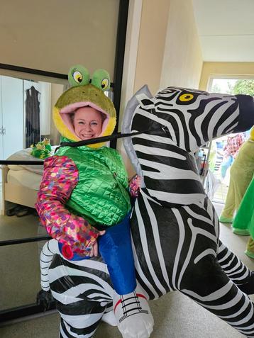 Carnavalspakken groep - Zebra & Kikker beschikbaar voor biedingen