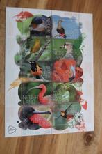 Nederland Vogels uit Bonaire postfris vel uit 2024 4163-4172, Ophalen of Verzenden, Nederland