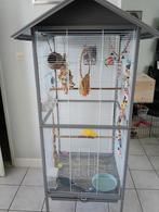 Te koop rijbare volière met 2 kakarikies 125 euro, Dieren en Toebehoren, Vogels | Parkieten en Papegaaien, Meerdere dieren, Parkiet