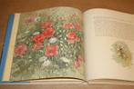 Beningfield's buitenleven. Natuurimpressies kunstenaar., Ophalen of Verzenden, Gelezen, Schilder- en Tekenkunst
