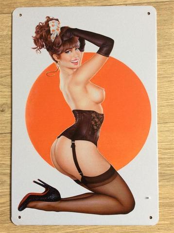 Lingerie Sexy Pin Up Naakt Kunst Metalen Wandbord beschikbaar voor biedingen