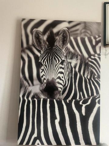 Canvas schilderij zebra – zwart-wit beschikbaar voor biedingen