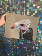Schilderij gier beige zwart acrylverf roofvogel, Antiek en Kunst, Ophalen of Verzenden