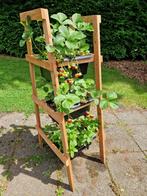 Plantenrek Little Berry (kruiden, moestuin, aardbeien, Bato), Tuin en Terras, Bloembakken en Plantenbakken, Minder dan 60 cm, Nieuw