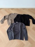 Zara Truien - Set van 3, Kleding | Heren, Ophalen of Verzenden, Zo goed als nieuw, Maat 52/54 (L), Overige kleuren