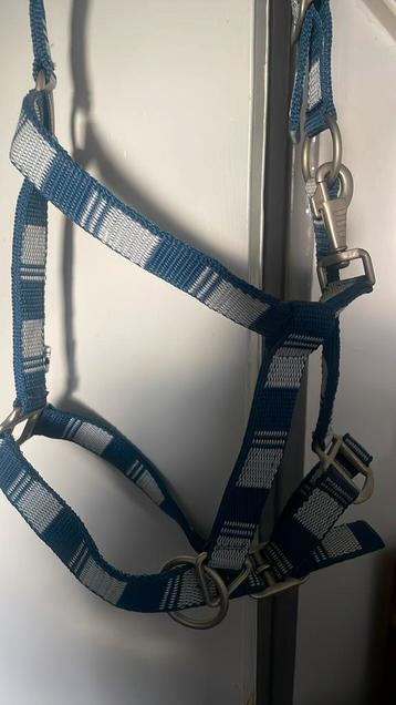 Nieuw blauw geblokt halster maat Full beschikbaar voor biedingen