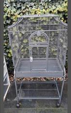 Parkieten papegaaien kooi montana, Ophalen of Verzenden, Zo goed als nieuw, Metaal, Vogelkooi