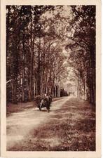 Hoog-Keppel - Uhlenpas, Verzenden, 1920 tot 1940, Gelopen, Overijssel