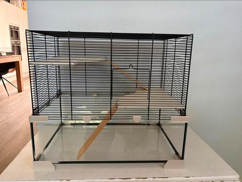 Hamster kooi, Dieren en Toebehoren, Knaagdieren en Konijnen | Hokken en Kooien, Gebruikt, Hok, Minder dan 60 cm, Minder dan 75 cm