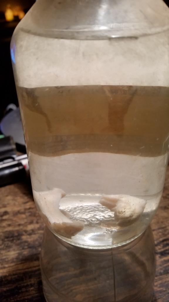 De tol van topsport: Kapotte linker binnenmeniscus, Antiek en Kunst, Curiosa en Brocante, Ophalen of Verzenden