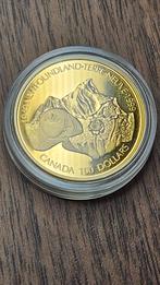 1/4 ounce gouden munt canada, Ophalen of Verzenden, Vaticaanstad, 2 euro, Goud