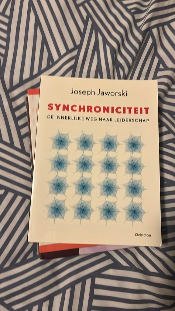 J. Jaworski - Synchroniciteit, Boeken, Economie, Management en Marketing, Zo goed als nieuw, Management, Ophalen of Verzenden