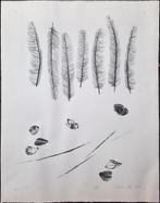 Feathers 41/60 - Kunstenaar: Hisako Viruly Abé, Ophalen of Verzenden