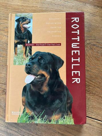 Esther Verhoef - Rottweiler beschikbaar voor biedingen