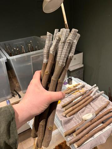 Vijgen stekken geworteld  beschikbaar voor biedingen