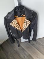 Te koop leren jas scoth & soda, Kleding | Dames, Gelegenheidskleding, Ophalen of Verzenden, Scotch & Soda, Zo goed als nieuw, Maat 36 (S)