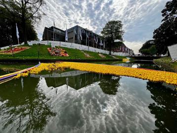Verhuur van 4800 Badeendjes voor Duckrace beschikbaar voor biedingen