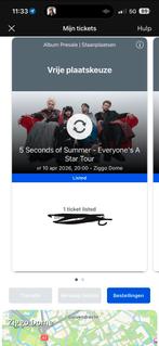 2x 5 seconds of summer staanplaats Amsterdam, Tickets en Kaartjes, Twee personen