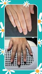 Modellen gezocht, Ophalen of Verzenden, Nieuw