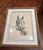 Tekening paardenhoofd, Antiek en Kunst, Kunst | Tekeningen en Foto's, Ophalen of Verzenden