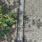 Opsluitband (molgoot, afvoergoot) voor bestrating, Tuin en Terras, Tegels en Klinkers, Ophalen, Gebruikt, Overige typen, Minder dan 5 m²