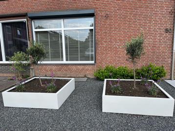 Plantenbakken beschikbaar voor biedingen