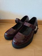 Mary Jane Platform ASOS snake skin Maroon Maat 39, Kleding | Dames, Overige kleuren, Overige typen, Ophalen of Verzenden, Zo goed als nieuw