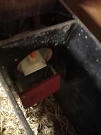 Urban Kalveren drink automaat goed werkend, Dieren en Toebehoren, Meerdere dieren