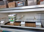 mooie onderhouds vrije broedkooi / vogelkooi met kanarieman, Dieren en Toebehoren, Vogels | Hokken en Kooien, Ophalen of Verzenden