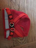 Tuigje kat s, Ophalen of Verzenden, Nieuw, Hondenjas