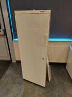 Koelkast (Liebherr Profi Line 360L), Ophalen, 200 liter of meer, 160 cm of meer, Zonder vriesvak