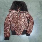 146 jas coolcat, Kinderen en Baby's, Kinderkleding | Maat 146, Verzenden, Zo goed als nieuw, Meisje, Jas