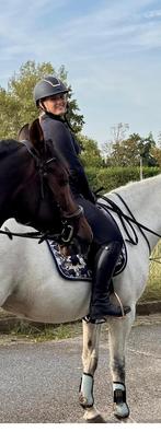 Bijrijder aangeboden, Dieren en Toebehoren, Ophalen of Verzenden