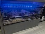 Te koop Glazen hok, Hamster, Hok, Ophalen, Minder dan 60 cm