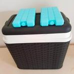 MINI KOELBOX, Ophalen of Verzenden, Zo goed als nieuw, Koelbox, Koelelement