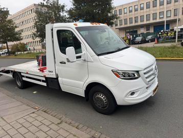 MET SPOED BUSSEN GEVRAAGD ALLES AANBIEDEN !! beschikbaar voor biedingen