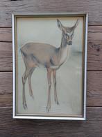 H v meegeren hert in kleur, Ophalen of Verzenden