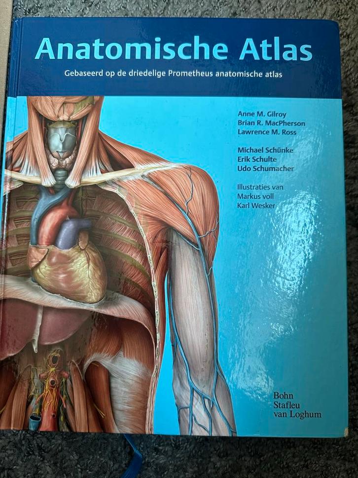 Anatomische Atlas - Gilroy, MacPherson, Ross, Boeken, Studieboeken en Cursussen, Zo goed als nieuw, HBO, Beta, Ophalen of Verzenden