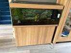 aquarium, Ophalen, Zo goed als nieuw, Gevuld zoetwateraquarium