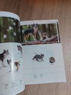 Schleich boekje 2009, Ophalen of Verzenden