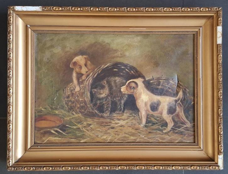 Schilderij met kat en honden gesigneerd. 1922, Antiek en Kunst, Kunst | Schilderijen | Klassiek, Ophalen