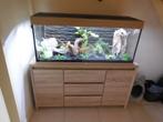 gave juwel rio 240 led compleet met alles erop eraan en erin, Dieren en Toebehoren, Ophalen, Gebruikt, Leeg aquarium
