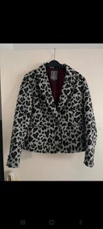 Blazer van Geisha maat L, Kleding | Dames, Jasjes, Kostuums en Pakken, Jasje, Grijs, Maat 42/44 (L), Ophalen of Verzenden