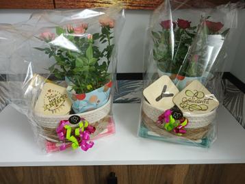 onderzetters HOUT, KURK cadeau coasters PYROGRAFIE creamar beschikbaar voor biedingen