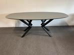 Deens ovale eettafel Forbo Desktop Ash 200x100, 100 tot 150 cm, 200 cm of meer, Ophalen of Verzenden, Zo goed als nieuw