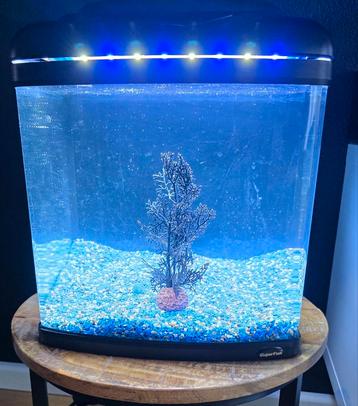 Superfish bak met grind verwarming filter en paar spullen  beschikbaar voor biedingen