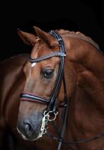 Stang en trens hoofdstel, Dieren en Toebehoren, Paarden en Pony's | Hoofdstellen en Tuigage, Ophalen of Verzenden, Zo goed als nieuw