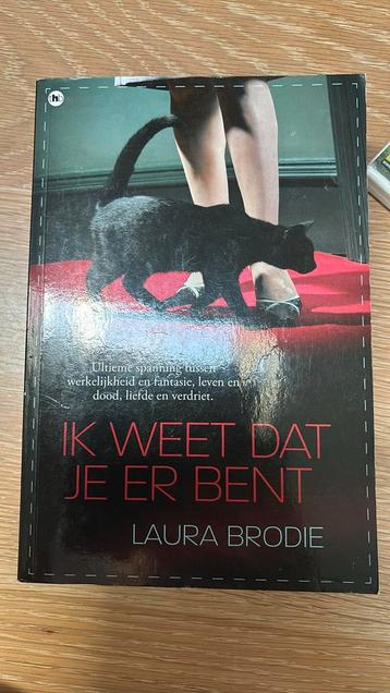 BRODIE - IK WEET DAT JIJ ER BENT SPECIAL beschikbaar voor biedingen