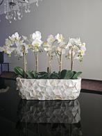 Mother of pearl schelpenvaas>kunst orchideeën>erik kuster, Minder dan 50 cm, Nieuw, Overige materialen, Ophalen of Verzenden